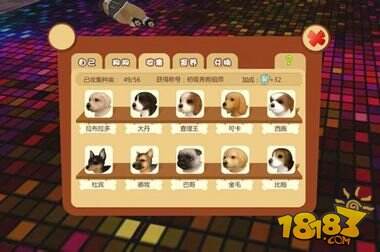 《心动小狗》获Unity最佳模拟游戏奖 七夕送祝福