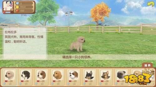 《心动小狗》获Unity最佳模拟游戏奖 七夕送祝福