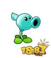 植物大战僵尸全明星水滴射手培养价值