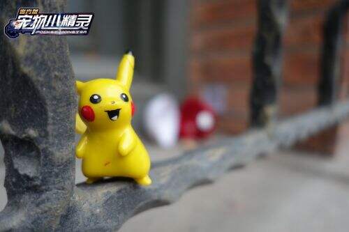 寻找隐藏的精灵球 捉宠大会激萌钛合金狗眼