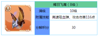 天天向上手游B级装备褐羽飞鹰图鉴