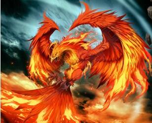 天天炫斗九天玄凰属性技能详解