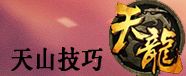 天山必看玩法技巧
