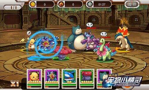 谁才是真正的小鲜肉 人气宠物小精灵颜值大对抗