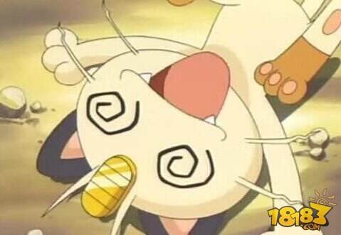 谁才是真正的小鲜肉 人气宠物小精灵颜值大对抗