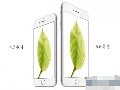 iPhone6和iPhone6 Plus有什么区别