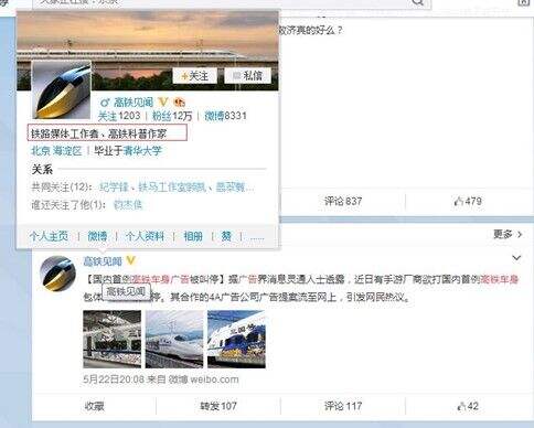 中国专家关注国内首例高铁车身包体广告