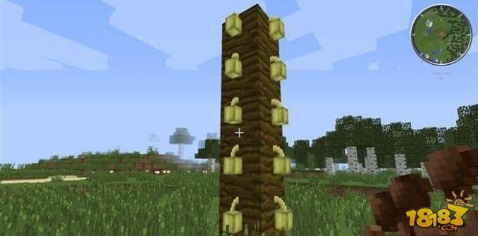 我的世界怎么在树上种可可豆 怎么种植可可豆攻略