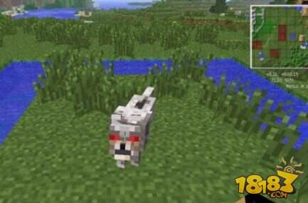 信不信由你 我的世界十五大流言盘点