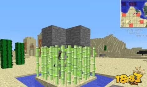 信不信由你 我的世界十五大流言盘点