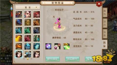 问道手游粉衣仙子加点 70级宝宝粉衣仙子属性介绍