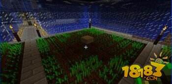 我的世界耕地技巧攻略