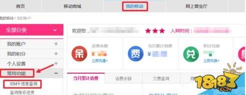 怎么查询中国移动SIM卡PIN码和PUK码方法解析