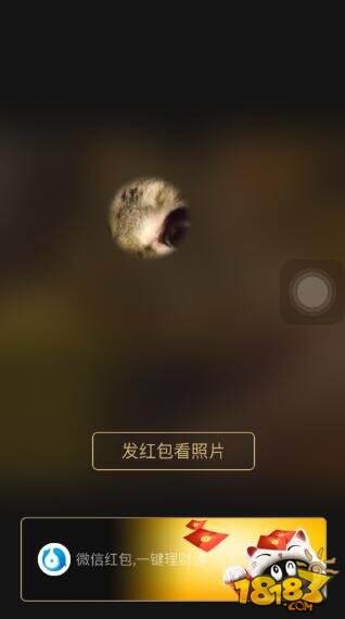 微信朋友圈红包照片怎么发 微信红包照片玩法