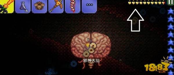 泰拉瑞亚怎么搞金血 上限血的方法详解