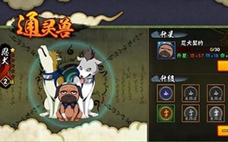 火影忍者忍犬咋激活?激活等级是多少?