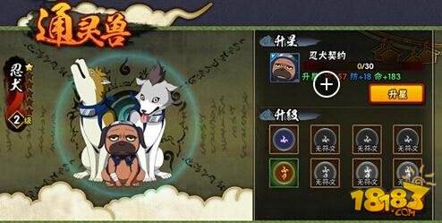 火影忍者手游忍犬满级是多少 181火影忍者专区