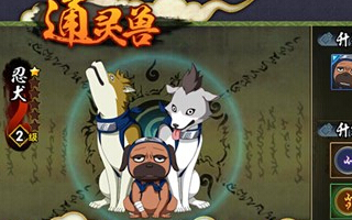 火影忍者手游忍犬满级是多少?