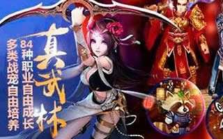 大唐双龙传3D寇仲徐子陵技能属性对比分析