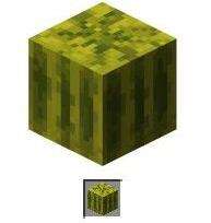 一般人我不教 夏天必备水果西瓜种植技术