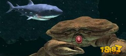 饥饿鲨进化大螃蟹怎么打 通关技巧攻略