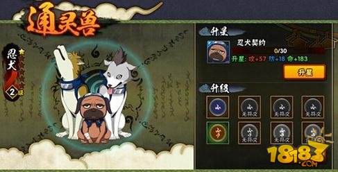 火影忍者手游忍犬满级等级是多少?