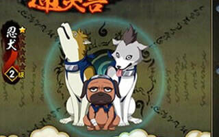 火影忍者手游忍犬满级等级是多少?