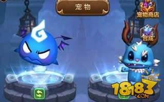 馴龍戰(zhàn)機3D手游中期寵物搭配技巧詳細介紹