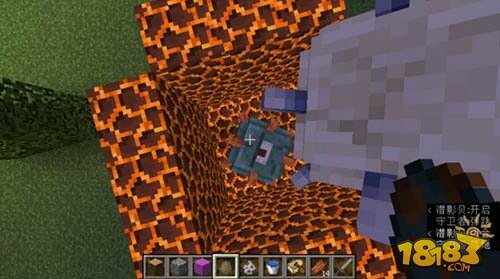 1.10版天生免疫岩浆方块的生物盘点