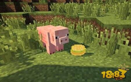 告别饥饿 我的世界常见食材获得方式