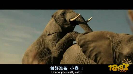 污的毁天灭地！年度最污喜剧《王牌贱谍格林斯比》