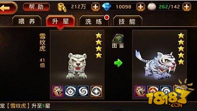 刀锋无双灵宠升星攻略 聚灵气而成神兽