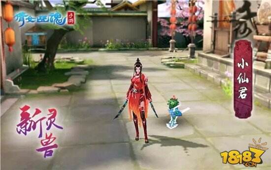 倩女幽魂手游新灵兽虎咪小仙君曝光