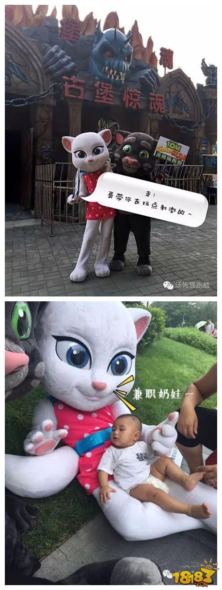 《汤姆猫跑酷》活体汤姆猫和安吉拉惊现北京城
