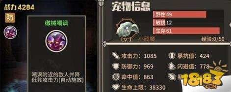 迷城物语各职业如何选择宠物 宠物搭配攻技巧攻略