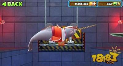 饥饿鲨进化独角鲸和火岩鲨哪个厉害 属性比较