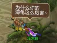 问道手游宠物元神共通有什么作用？