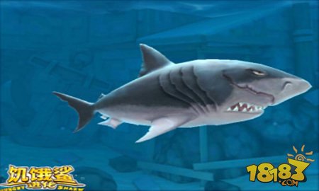 饥饿鲨进化艾伦后还有鲨鱼吗 鲨鱼顺序解析