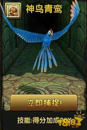 神庙逃亡2翅膀使用时机路段选择技巧