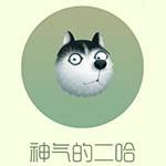 神气的二哈