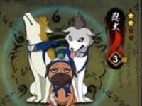 火影忍者手游累计完成12次忍犬任务可以额外获得什么奖励？