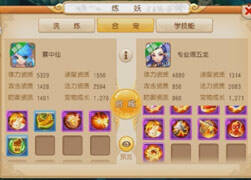 然逍遥解说：土豪式高端合宝宝之法防配