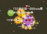 球球大作战新手教学视频九 早起的球儿有球吃