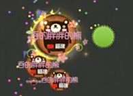 球球大作战新手教学视频19 纯净房制霸