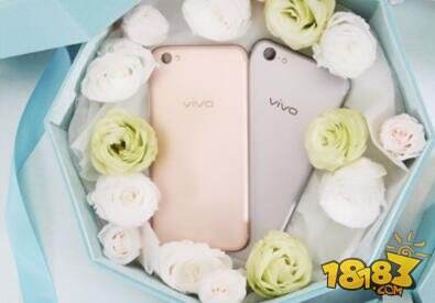 vivox9plus星空灰和金色和玫瑰金哪个颜色好看