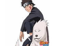 火影忍者手游忍者犬冢牙【疾风传】 犬冢牙获得方法