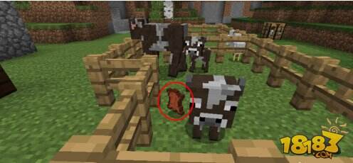 我的世界牛怎么养 怎么养牛图文介绍