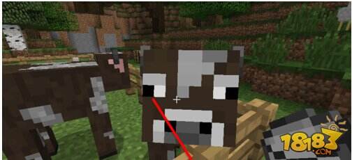 我的世界牛怎么养 怎么养牛图文介绍