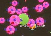 生存推刺卡点：神奇中吐KO对手