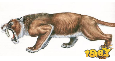 成吉思汗手机版坐骑史前生物剑齿虎详解